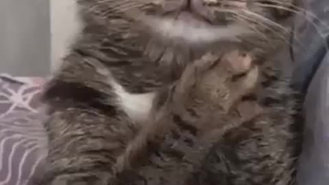 Baerbocks verbale Ergüsse