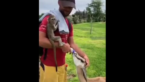 Naughty monkey 🐵🐵