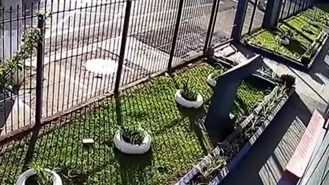 Oopsy!