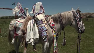 Crow Bead Artist Birdie Real Bird