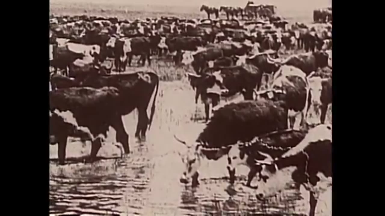 The Earp brothers. Aryan lawmen from the old west