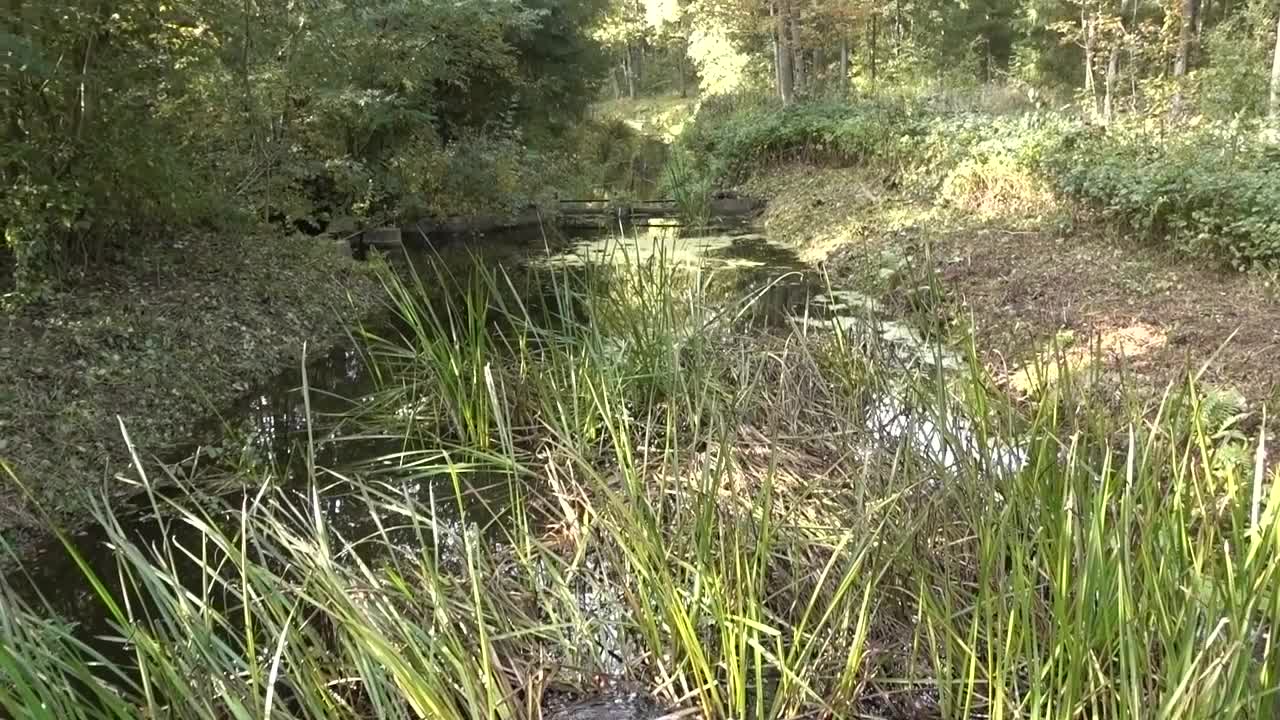 How the Netherlands simulated the sea