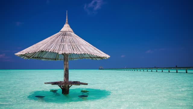 Bamboo Beach Umbrella With Bar Seats In The Water Free To Use Video (No Copyright)