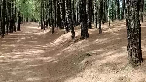 Beautiful valley in Pakistan