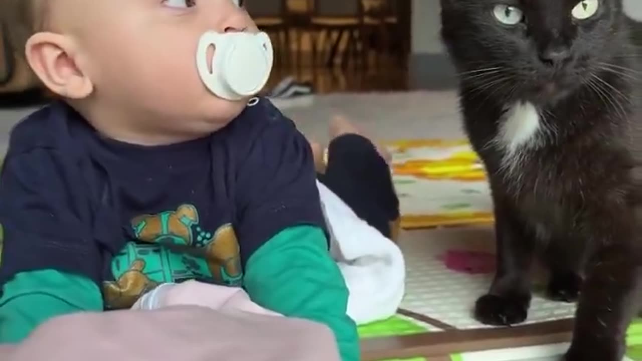 Cat interacting with human baby