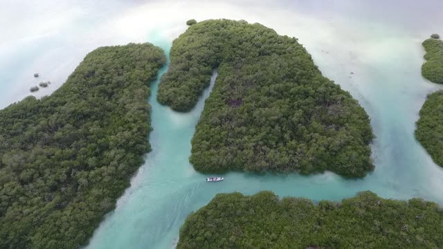 Good aerial scenery video, it makes me intoxicated.