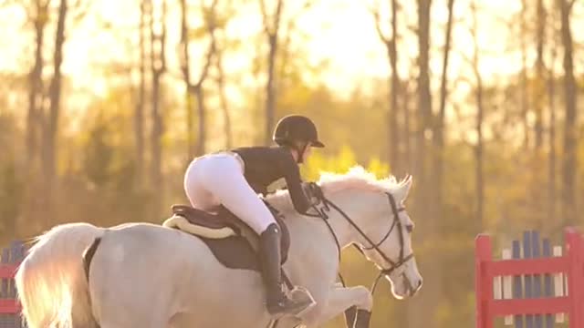 Equestrian highlights