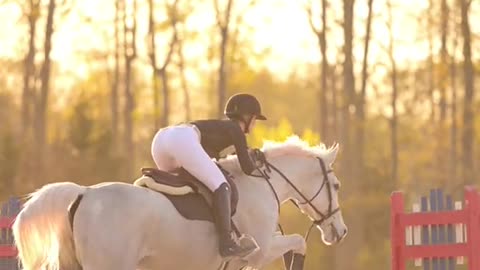 Equestrian highlights