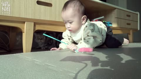 Will Walking Baby become friends with the Cats?