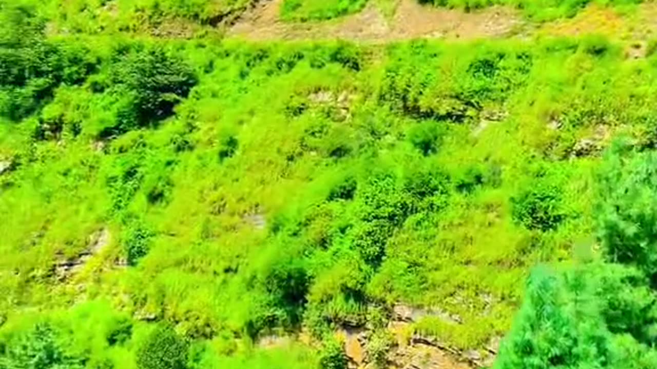 https://rumble.com/v3b4uyo-my-beautiful-pakistan.html