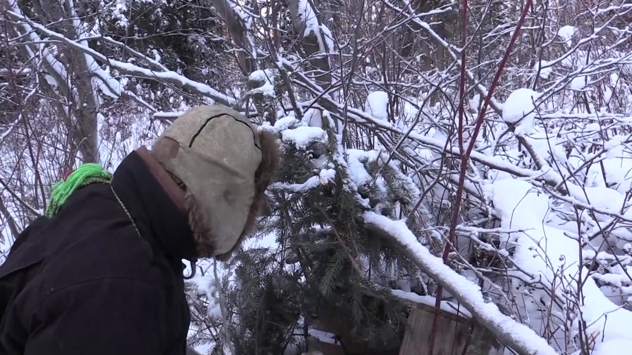 Trapping Inc Season 3 Episode 8 Marten trapping in the NWT!