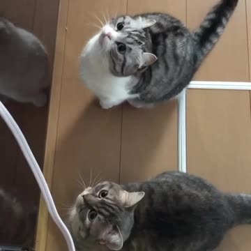 #FYP #ForYou #TikTokFYP #ForYouPage #Trending #Viral #ExplorePage #FYPシ