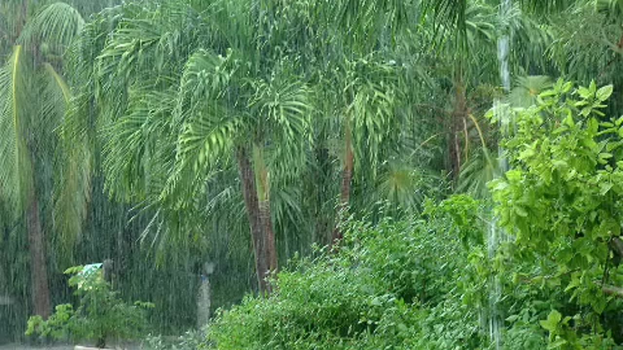 heavy rain