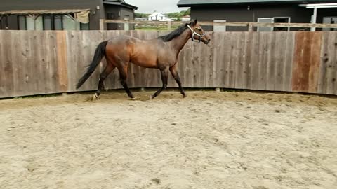 Liberty exercise by Supi