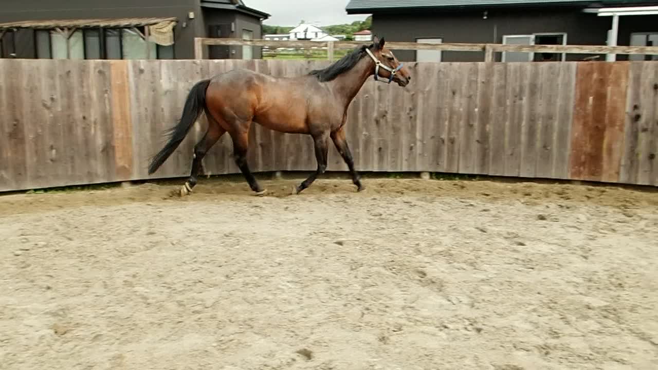 Liberty exercise by Supi