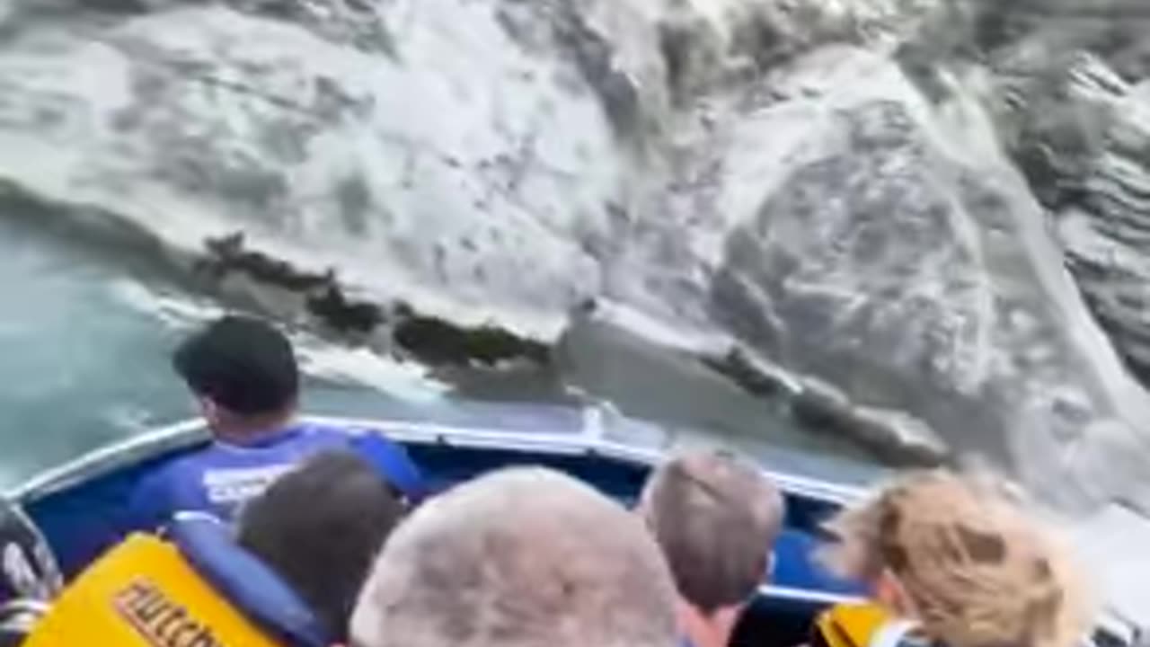 Fun Splash on Jetboat