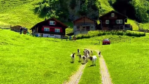 Switzerland is Beautiful as you