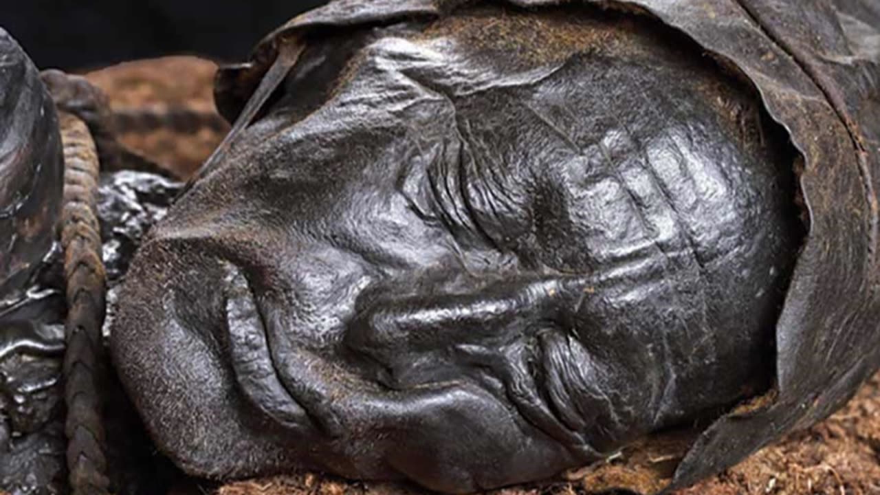 Oldest mummified corpse - Tollund man