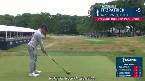 Matt Fitzpatrick Swing