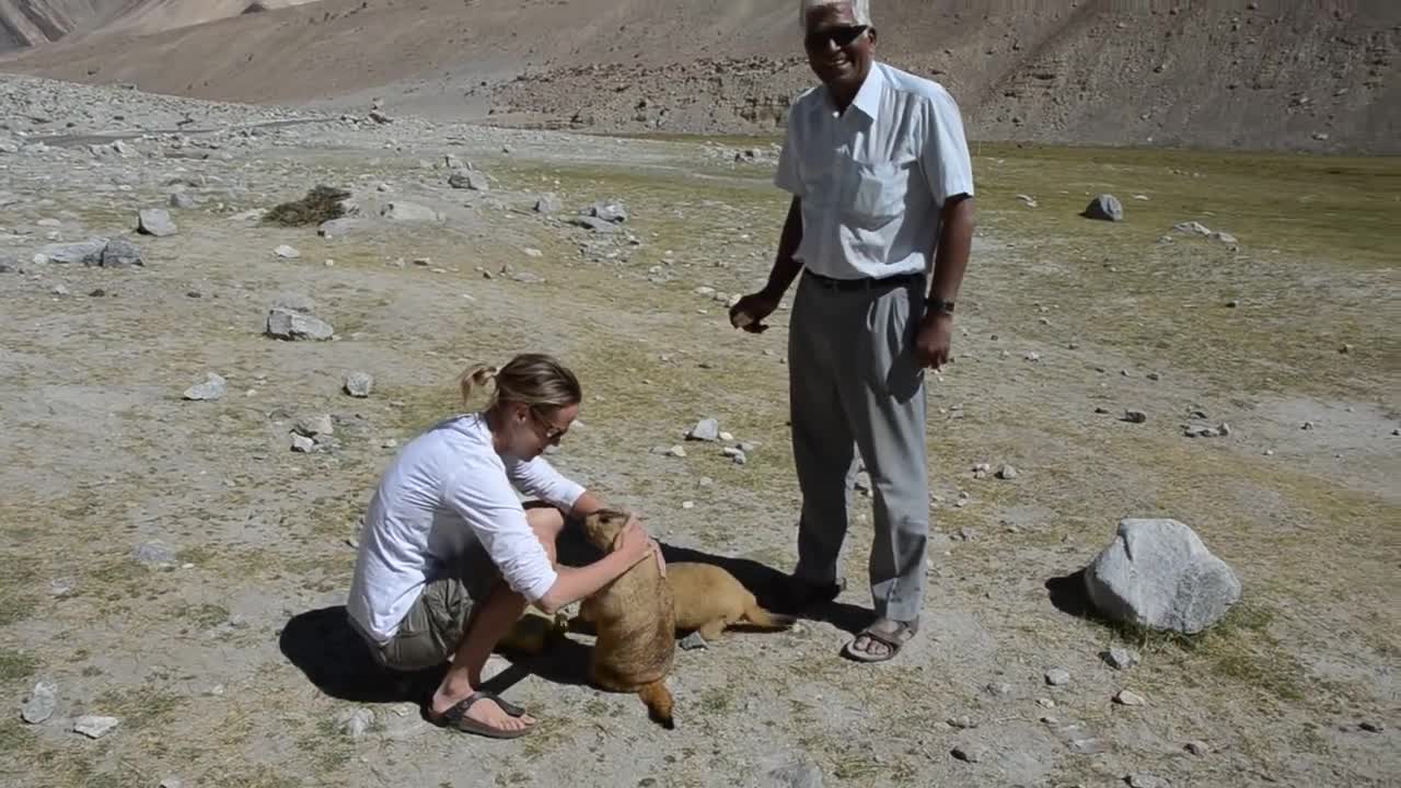 Katie and the Marmot