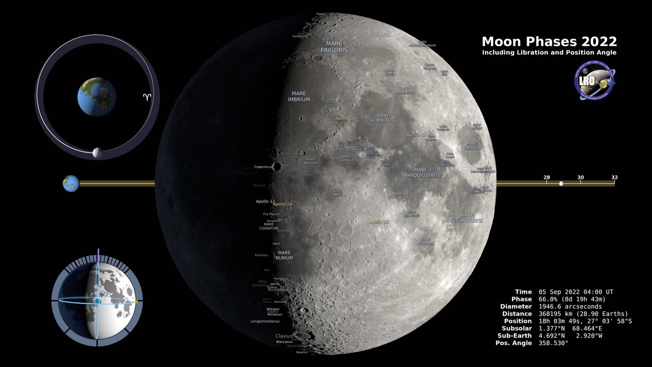 Moon's Dance: A Year of Phases and Liberation in 4K