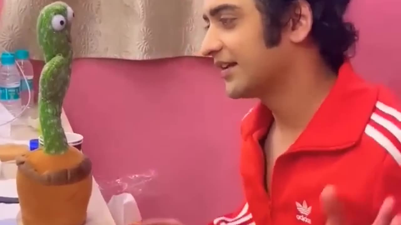 Funny Videos