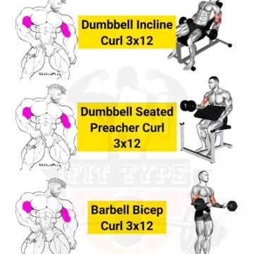 Advanced Biceps Workout Exercises