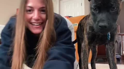 Oh my god my dog 🤯 she got scared