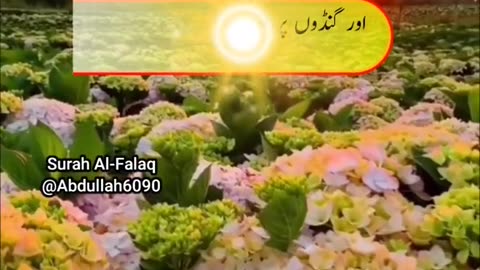 Surah Falaq