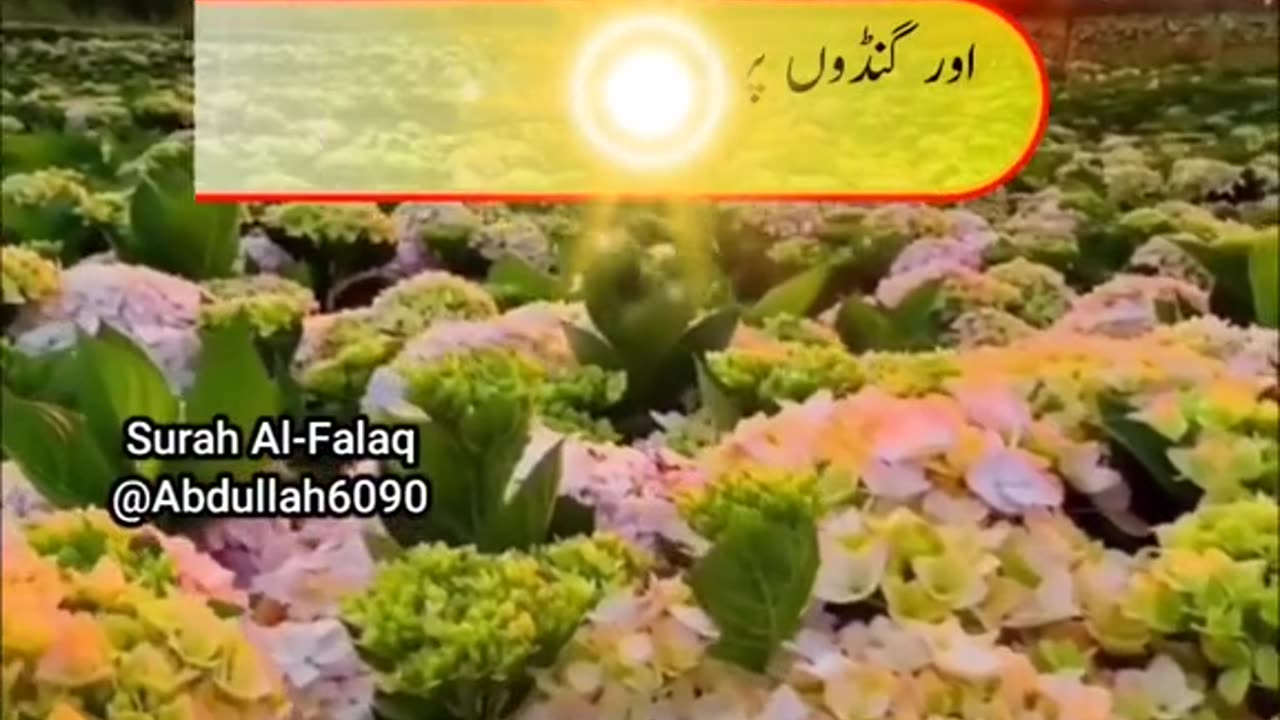 Surah Falaq