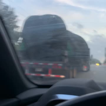 TREEDOM and LIBERTREE for ALL