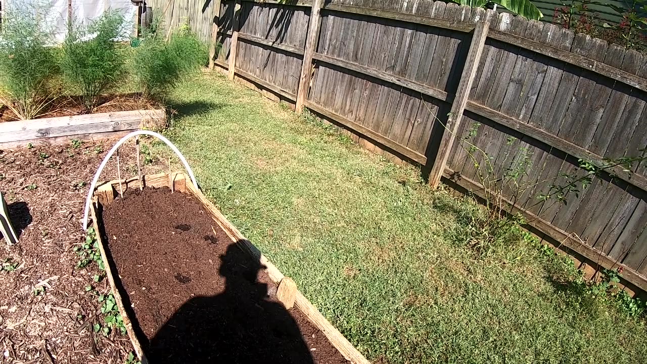 Fall Winter 2023 Garden Update