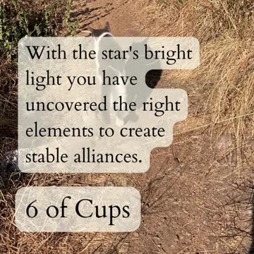 PathandTarot Tarot Reading With Nature's Chariot