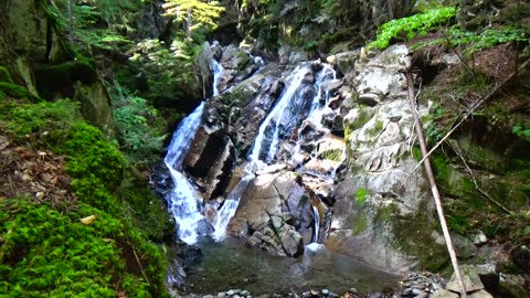 Cascades