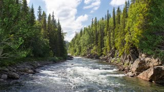 Relax Library: Video 48.River moving slowly. Relaxing videos and sounds