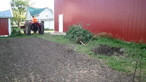 Stump Removal Squad to the rescue!