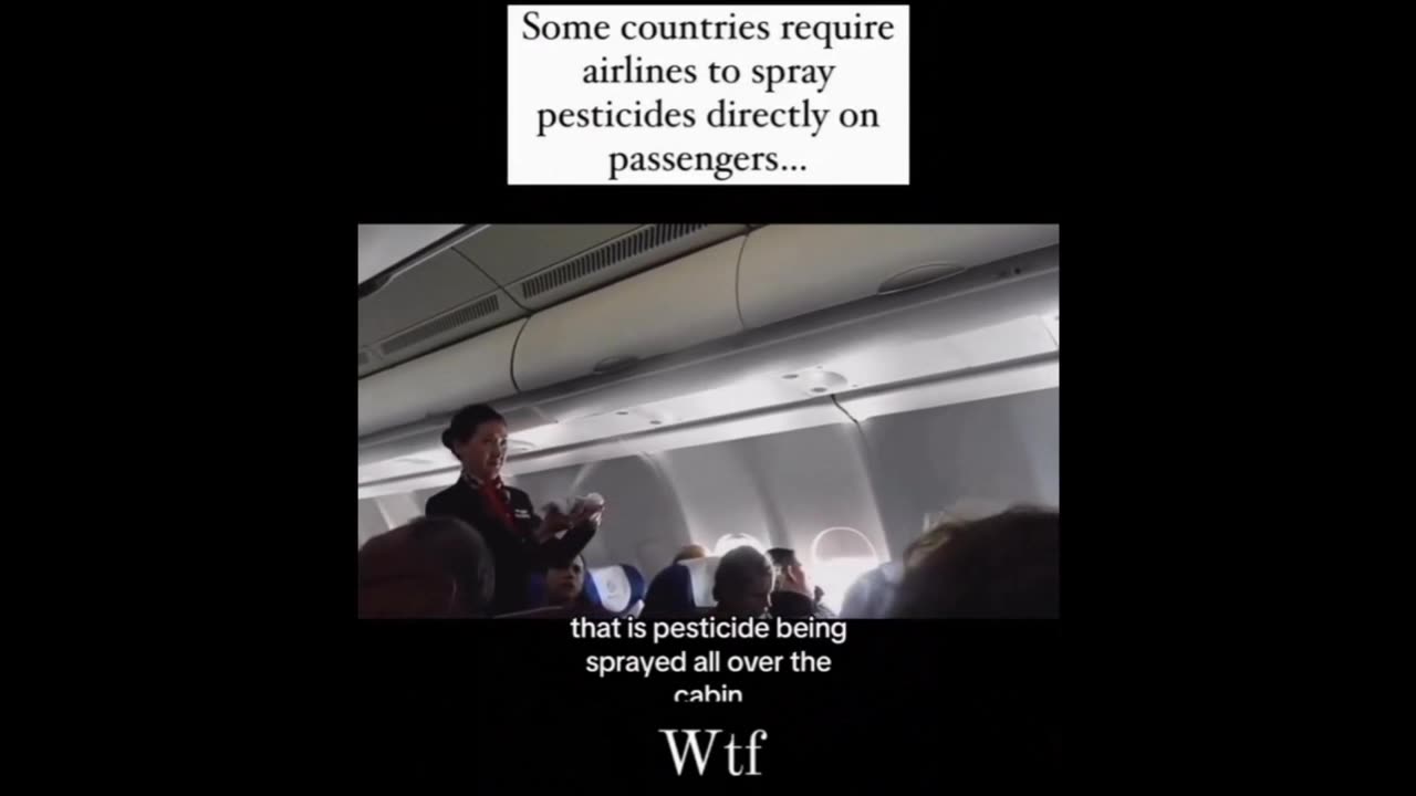 Clown World 😎 WeekendWarrior17