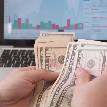 Pitbull Party vs Business