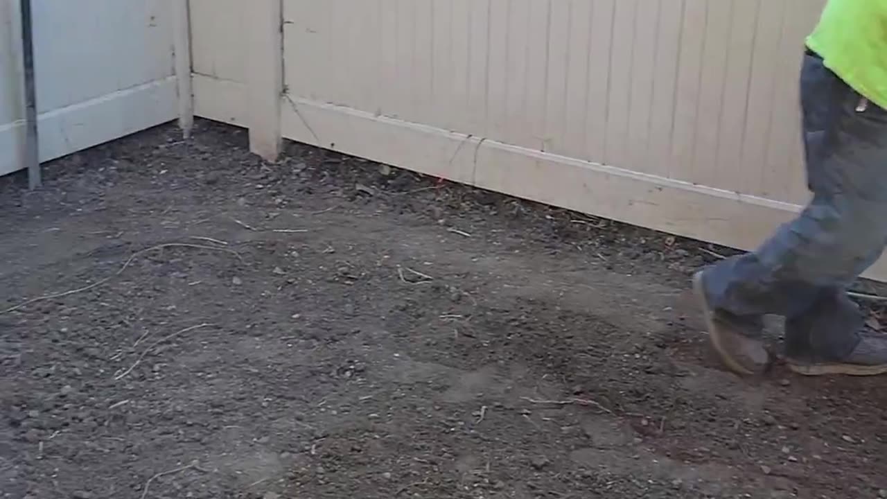 Backyard work