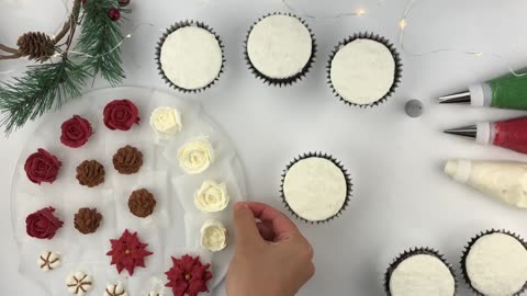 I Promise Your Cupcake Decorating Skills Will Only Get Better After Watching This Video! ZIBAKERIZ