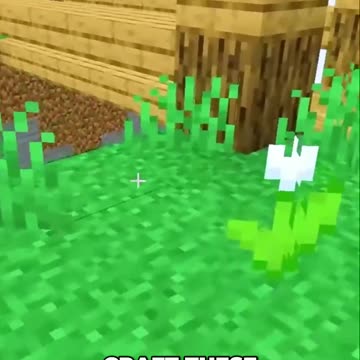 10 Beautiful Wedding Flower Ideas for a Memorable Celebration