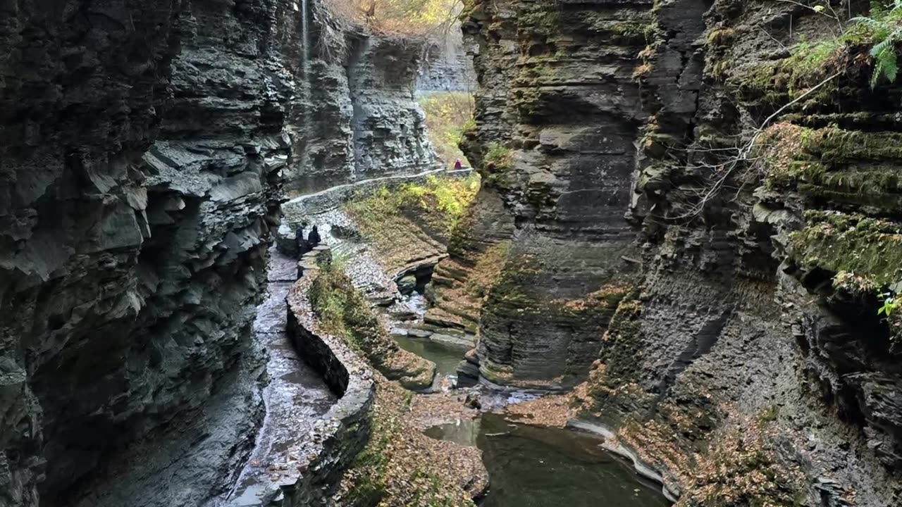 Watkins Glen, NY