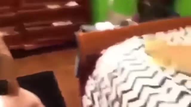 Cat Funny Videos...( 😂😂❤️😂🔥) #catlove#love