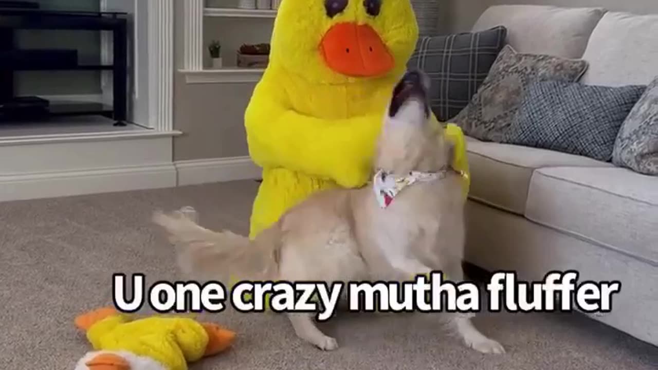 Dressing Up As Our Dogs🐕 Favorite Duck🦆 Toy