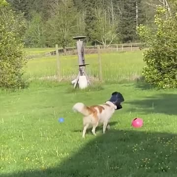 oops, that fell here, don't even see who it was