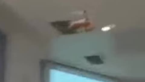 It's a bird it's a plane it's aaaah oh noo..