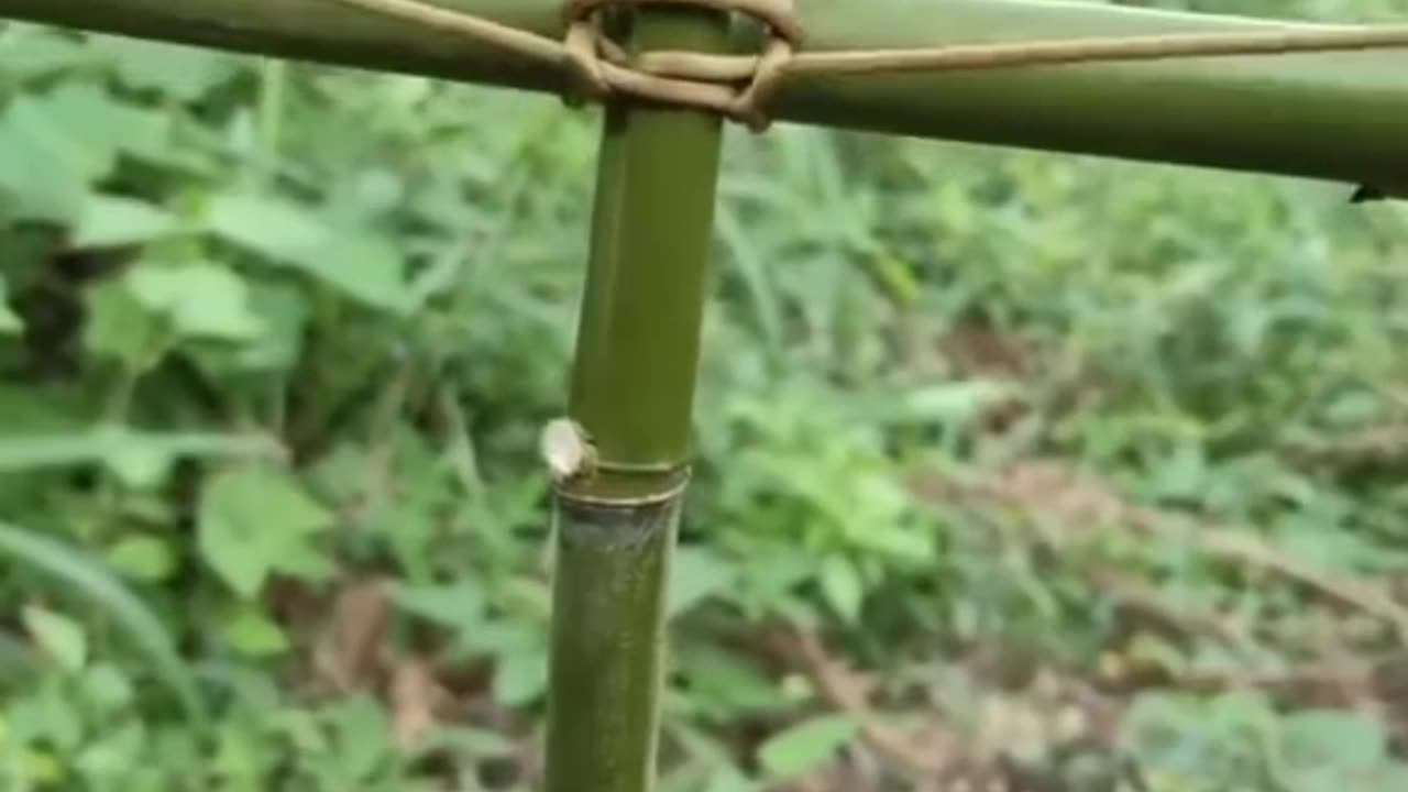A bunch can be useful perfectly