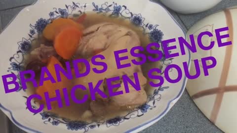 BRANDS ESSENCE CHICKEN SOUP