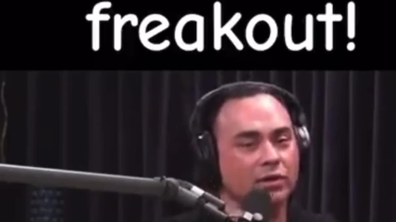 THE BIGGEST FREAKOUT ‼️ 🤣🤣