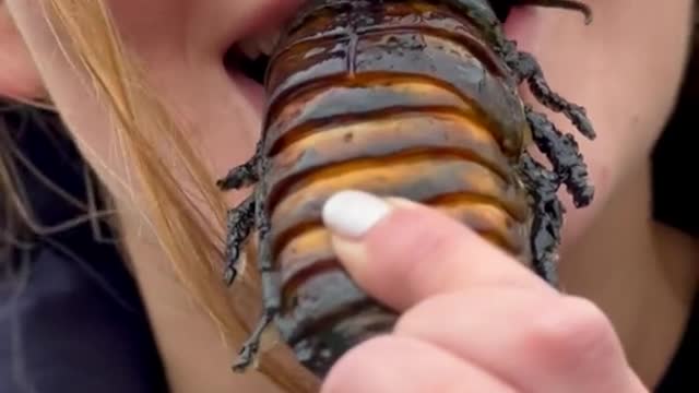 for eating this cockroach